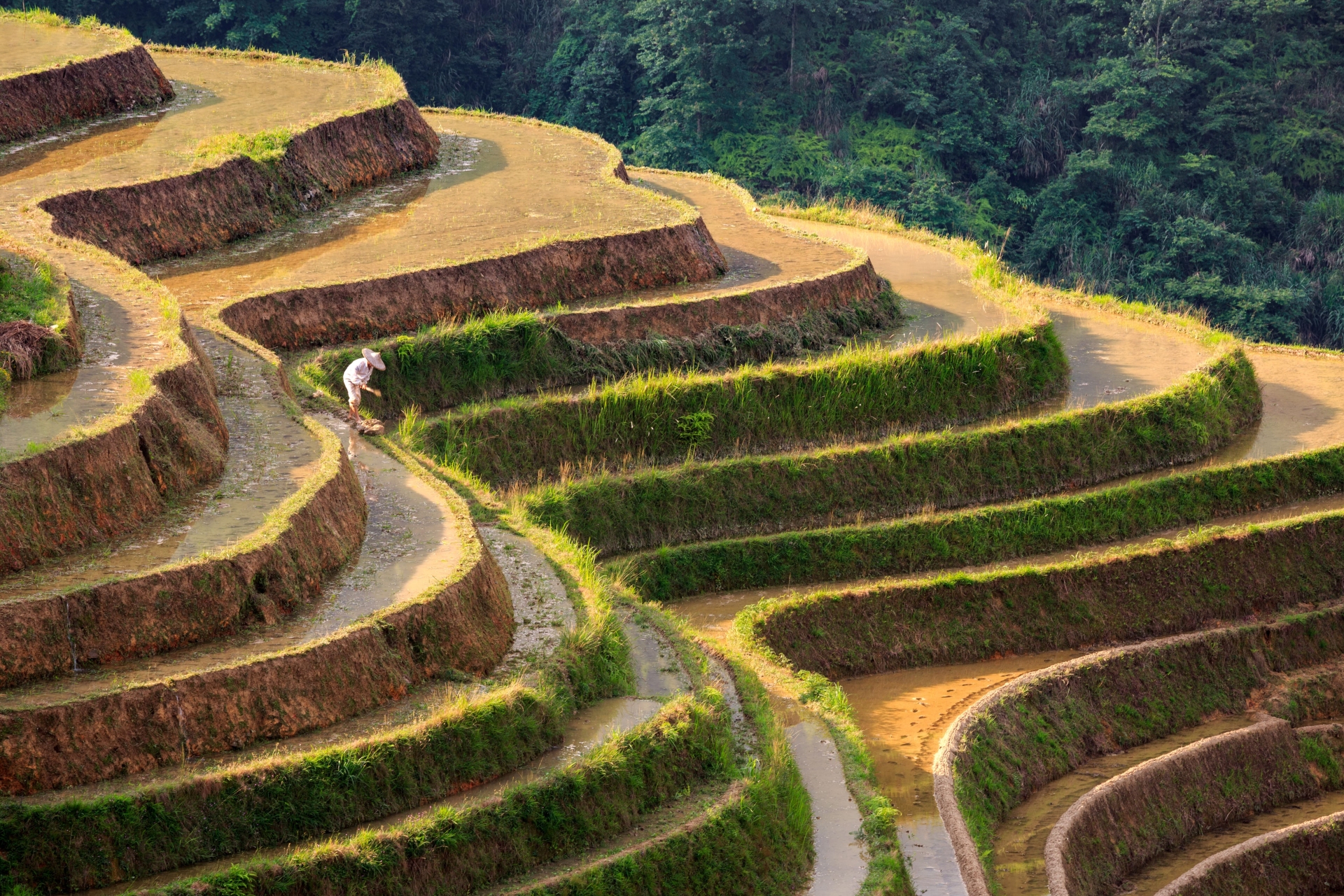 rizieres-en-terrasses-longji-longsheng-guangxi-chine-adobe-stock