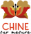 Origine des nouilles Chinoises