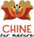 Origine des nouilles Chinoises
