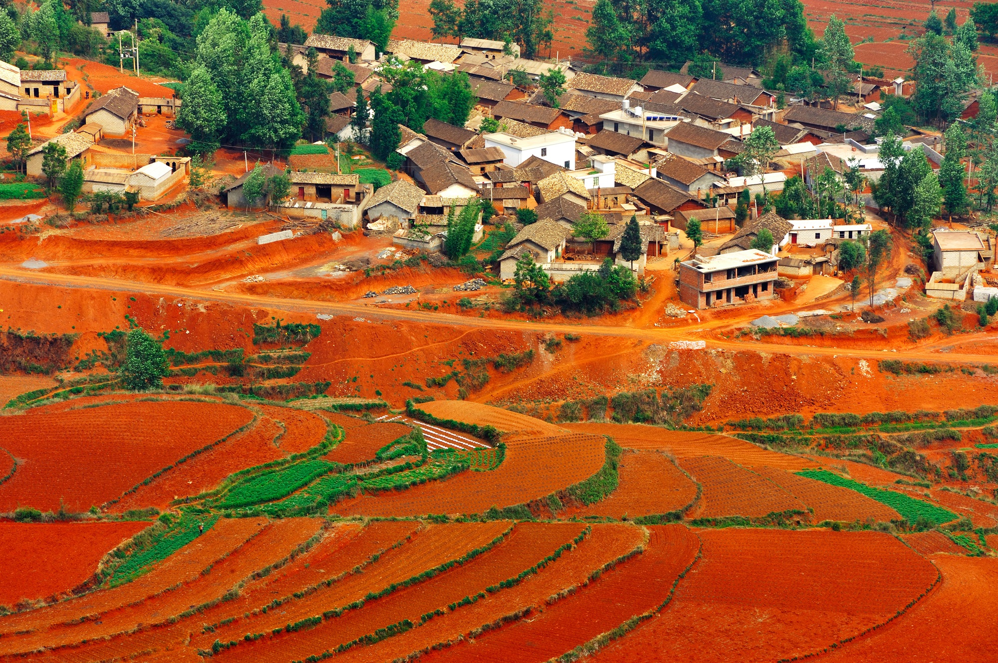 Village à côté de rizières rouges