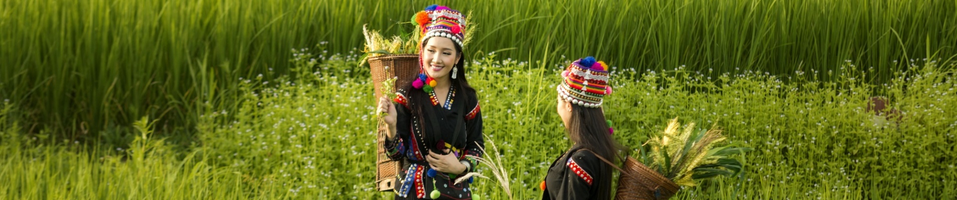 Jeunes filles souriantes dans un champ de riz