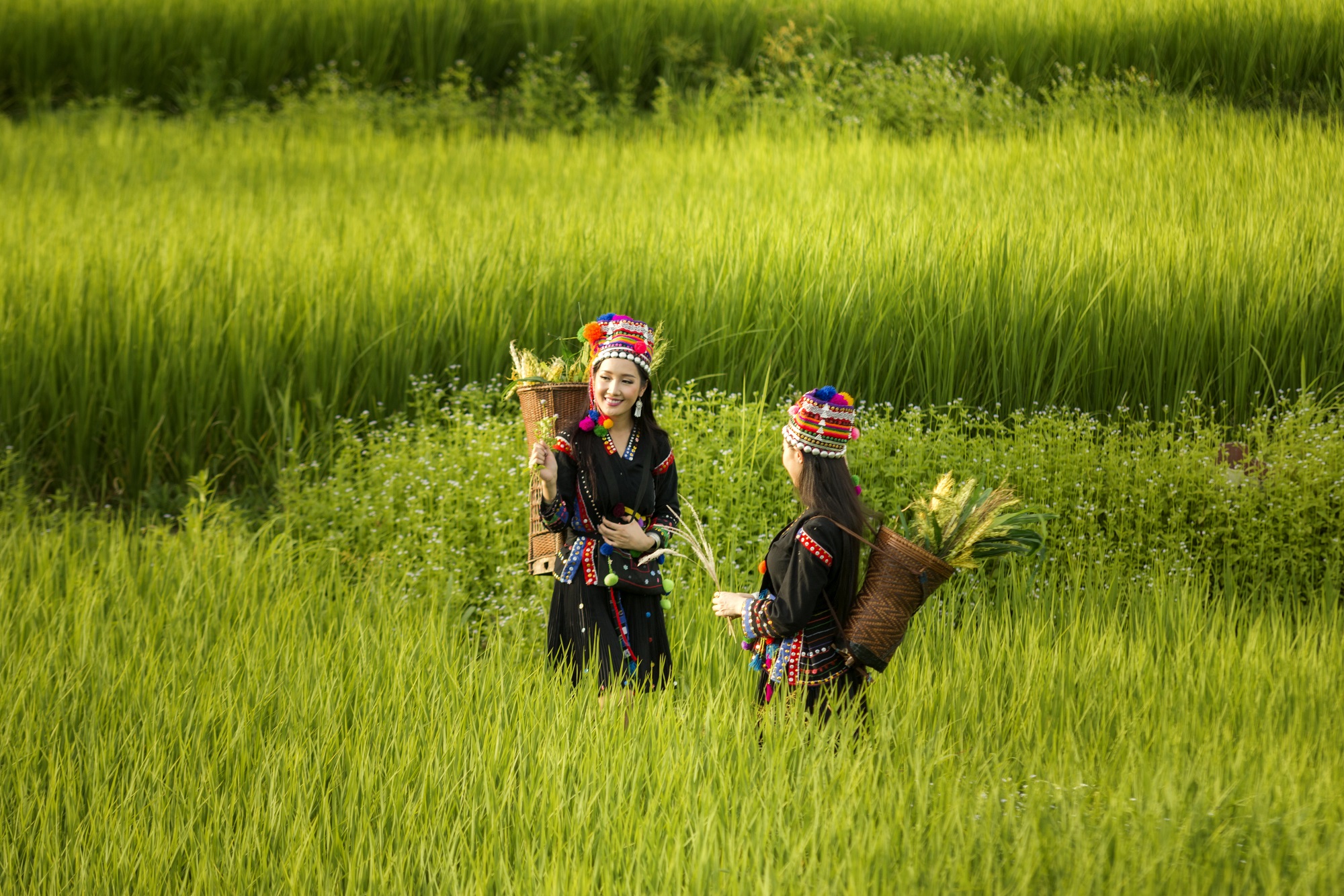 Jeunes filles souriantes dans un champ de riz