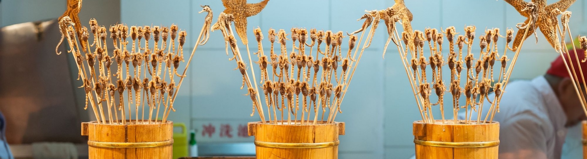 Brochettes de scorpions au marché Wangfujing à Pékin