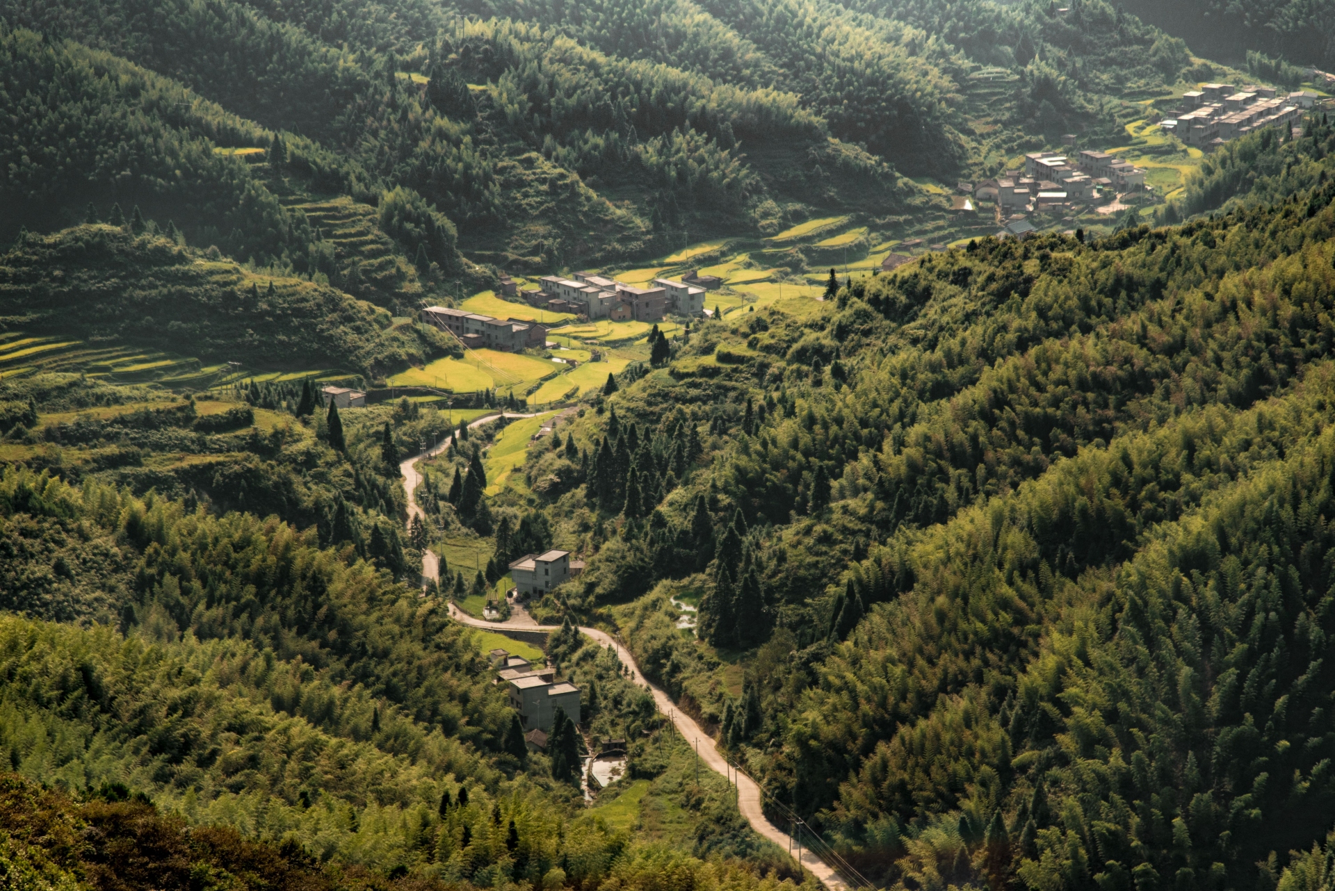 adobestock_1659254322-1