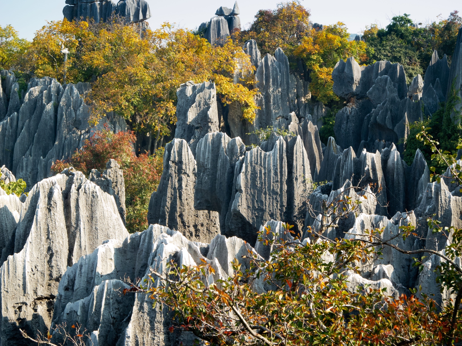 pinacles-calcaire-foret-de-pierre-shilin-yunnan-chine-adobe-stock