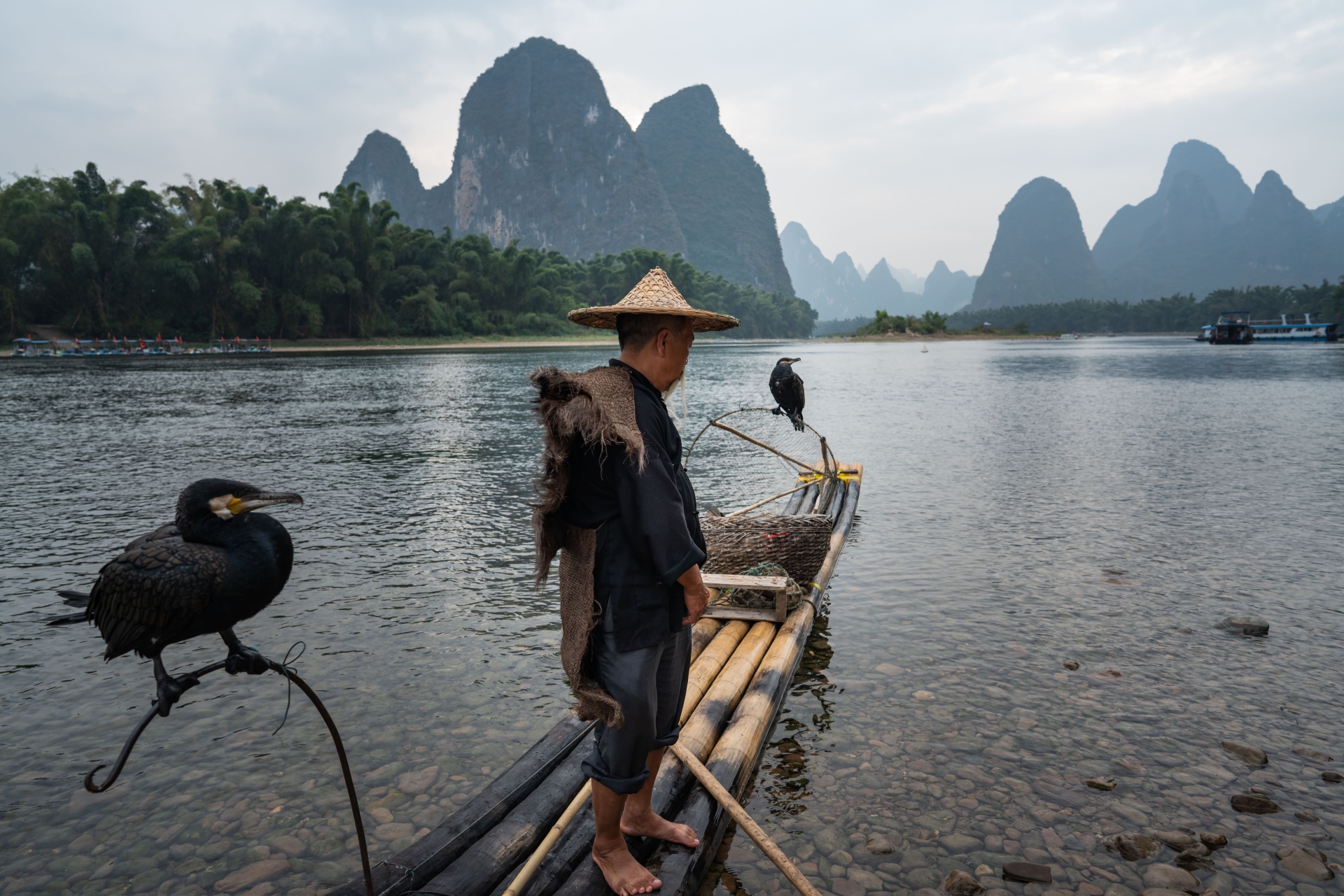 Les pêcheurs au cormoran de Xingping