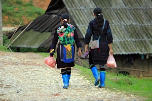 Mongs noires marchant dans la montagne