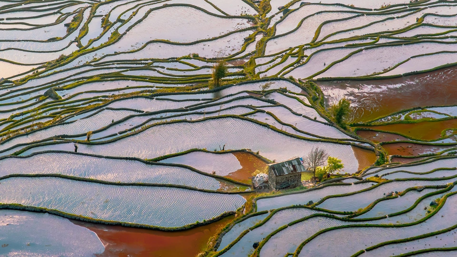 rizieres-en-terrasses-inondees-yuanyang-hani-yunnan-chine-sandra-mosconi-unsplash
