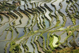 Rizières en terrasse de Yuanyang, Yunnan