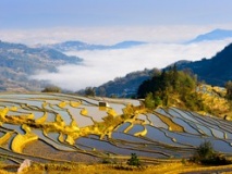 Rizières en terrasse, Yuanyang