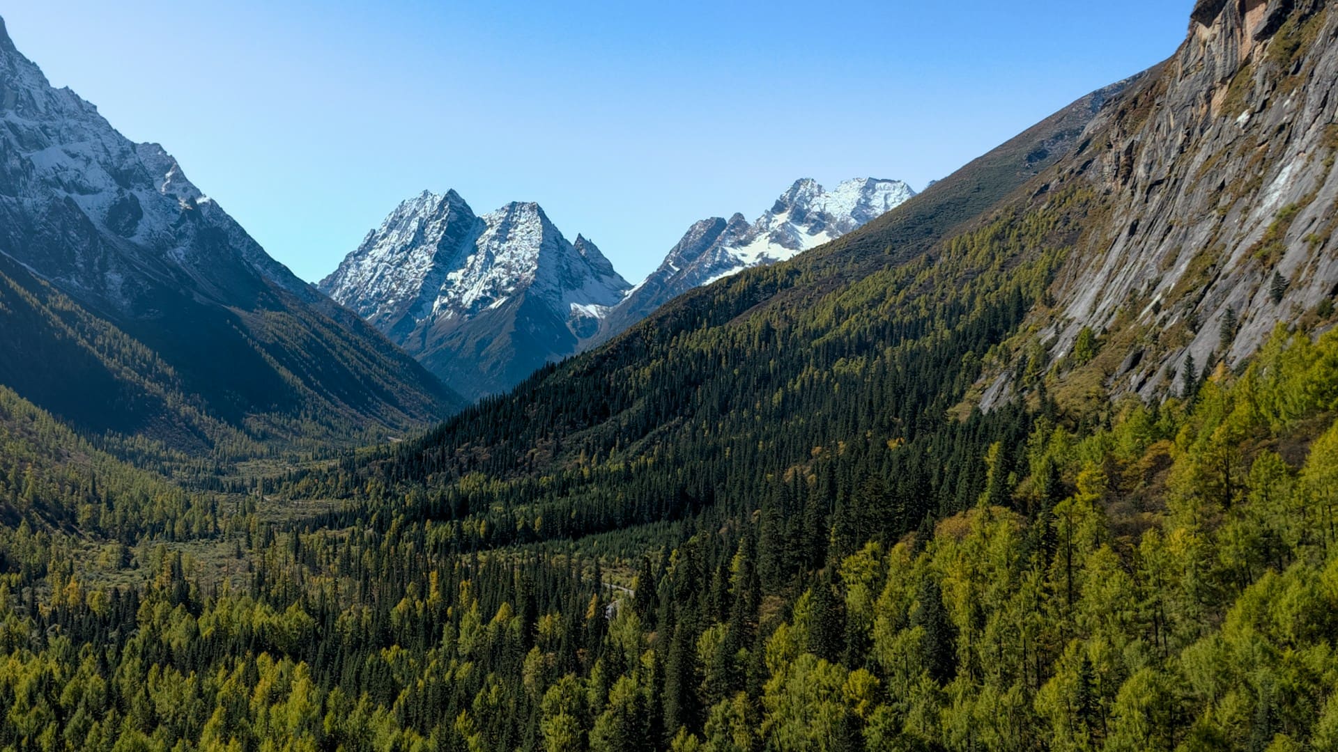Yala montagne Sichuan chine