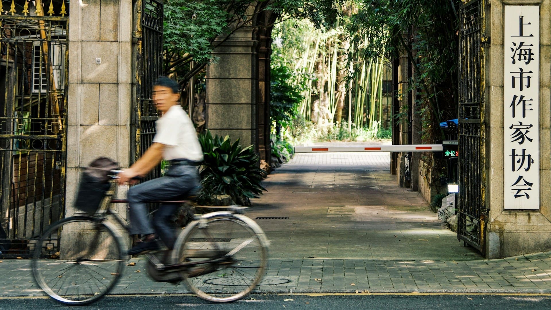 velo chine